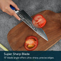 KITCHENDAO Chef Knife 8 Inch 67-Layer Damascus Steel Kitchen Knife Super Sharp Cooking Knife with Unique Rosewood and Resin Handle, Gift Box for Family, Friends and Colleagues